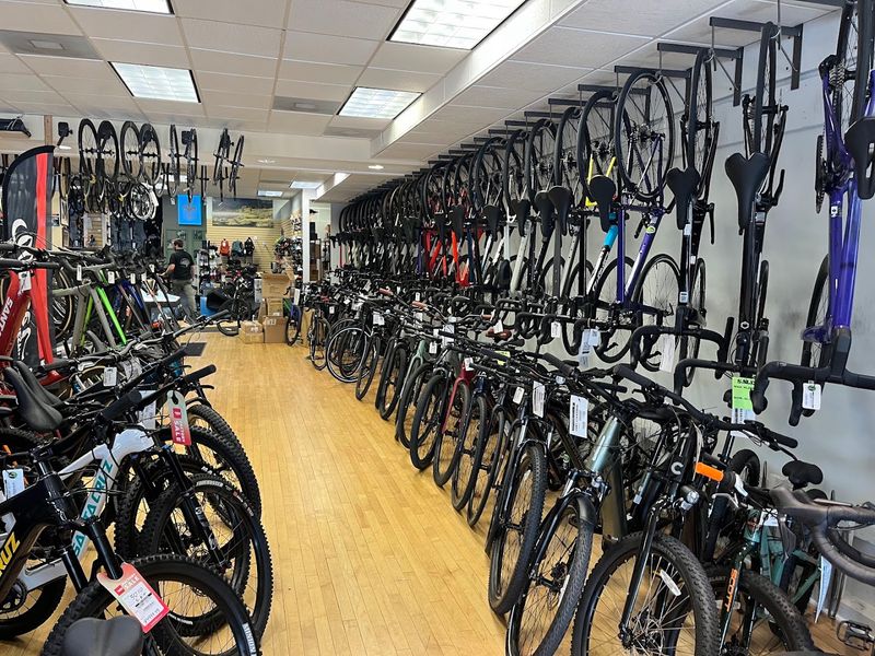 Professional Bike Service That Actually Delivers