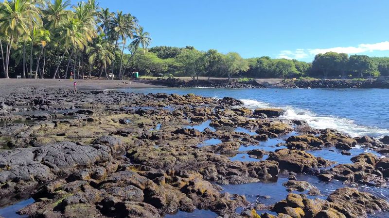 Punalu?u Black Sand Beach, The Perfect Companion Stop on the Big Island Punalu?u Black Sand Beach, The Perfect Companion Stop on the Big Island