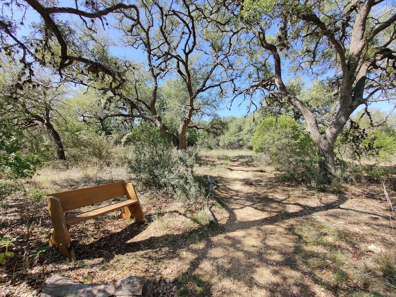 Quiet Trails and Unexpected Art at Charro Ranch Park