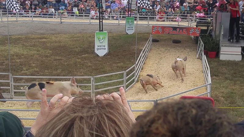 Quirky Traditions and Competitions That Give This Fair Its Personality Quirky Traditions and Competitions That Give This Fair Its Personality
