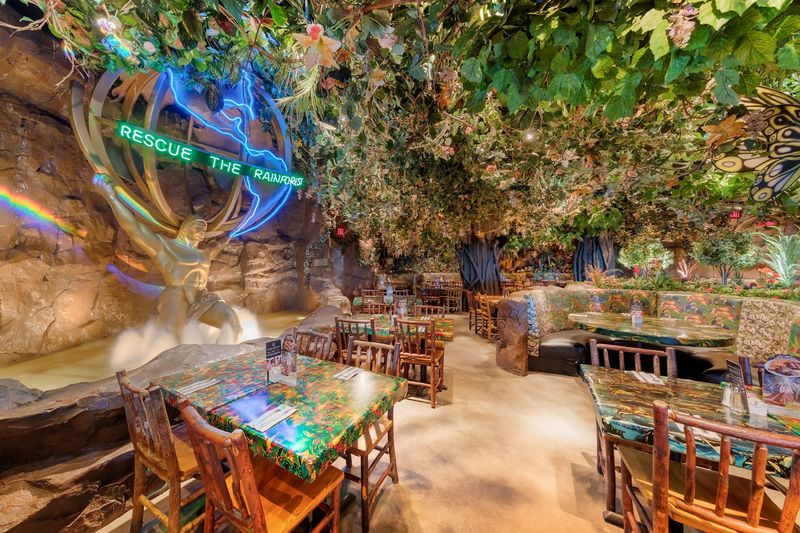 Rainforest Cafe Rainforest Cafe