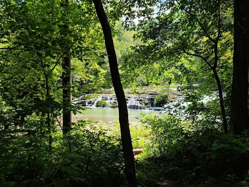 Rare Wildlife and Plant Species Found Only Here Rare Wildlife and Plant Species Found Only Here