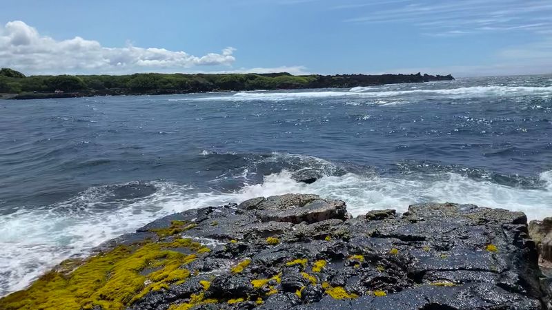 Raw Power on the Shore: Why This Is Not a Swimming Beach Raw Power on the Shore: Why This Is Not a Swimming Beach