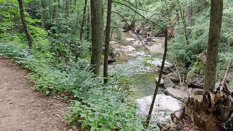 Reading the Trail: Blazes, Forks, and the Right Path Up