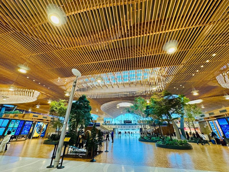 Real Trees Growing Right Inside the Terminal