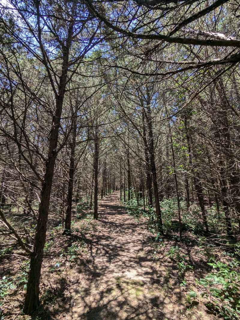 Red Trail Gives You An Easier Loop