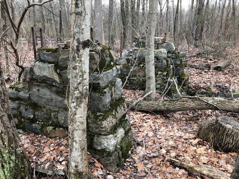 Remnants That Speak Without Words