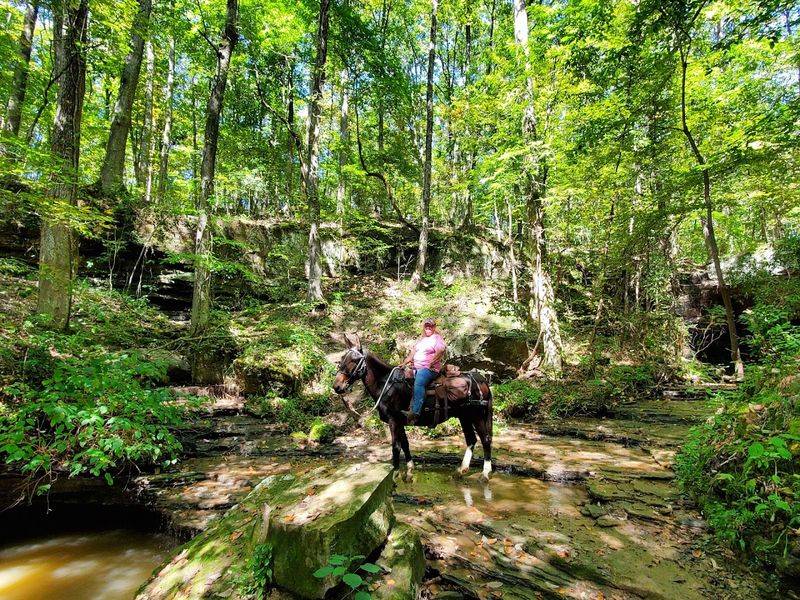 Ride Over 100 Miles of Horse Trails Across 3,000 Acres Ride Over 100 Miles of Horse Trails Across 3,000 Acres