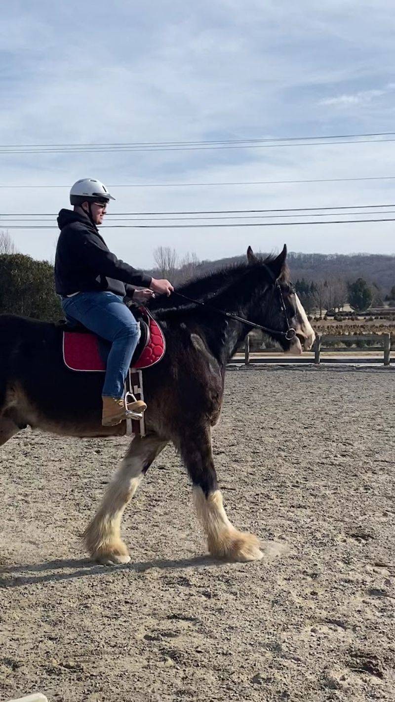 Riding Lessons With Knowledgeable, Caring Instructors Riding Lessons With Knowledgeable, Caring Instructors