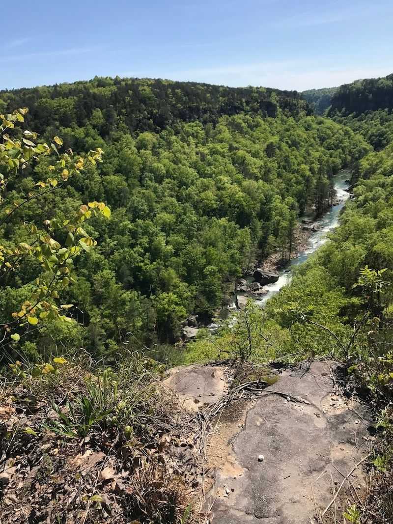 Right Next Door to Little River Canyon National Preserve