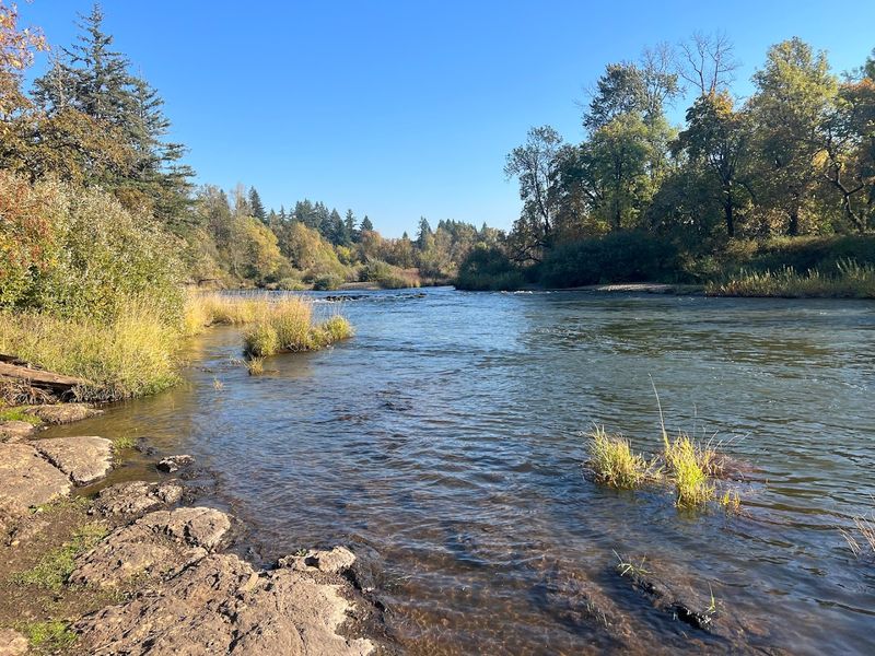 Riverside Ecosystems Full of Wildlife Riverside Ecosystems Full of Wildlife