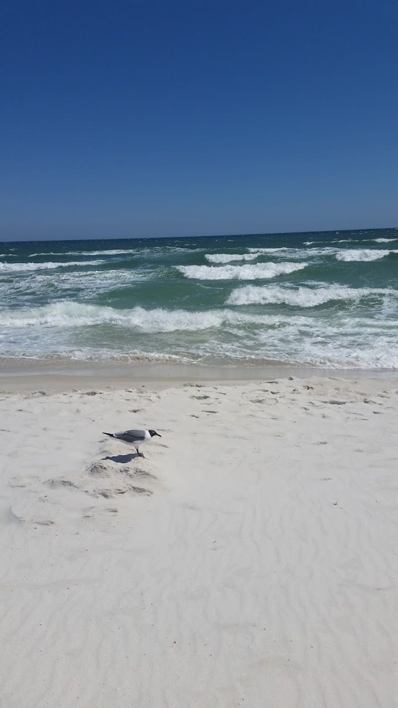 Romar Beach, Orange Beach