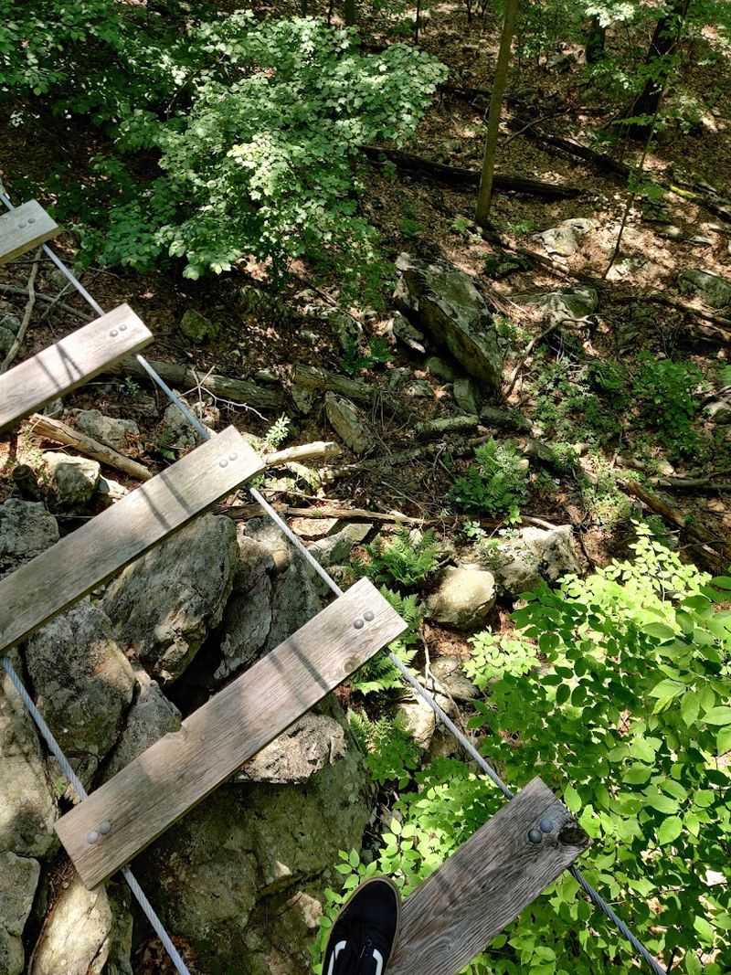 Rope Bridges and Wobbly Obstacles That Test Your Balance