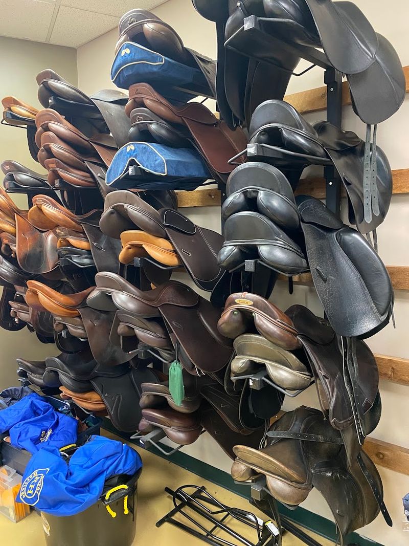 Saddles for Every Rider, New and Used Saddles for Every Rider, New and Used