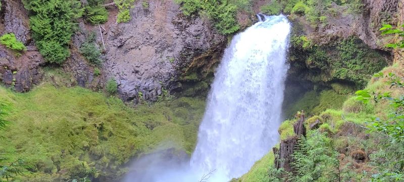 Sahalie Falls, the Crown Jewel of the McKenzie