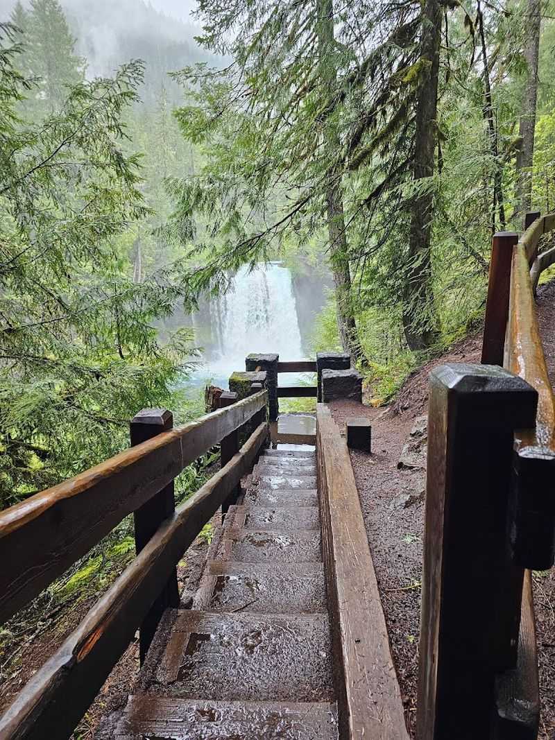 Sahalie and Koosah Falls Loop, McKenzie River