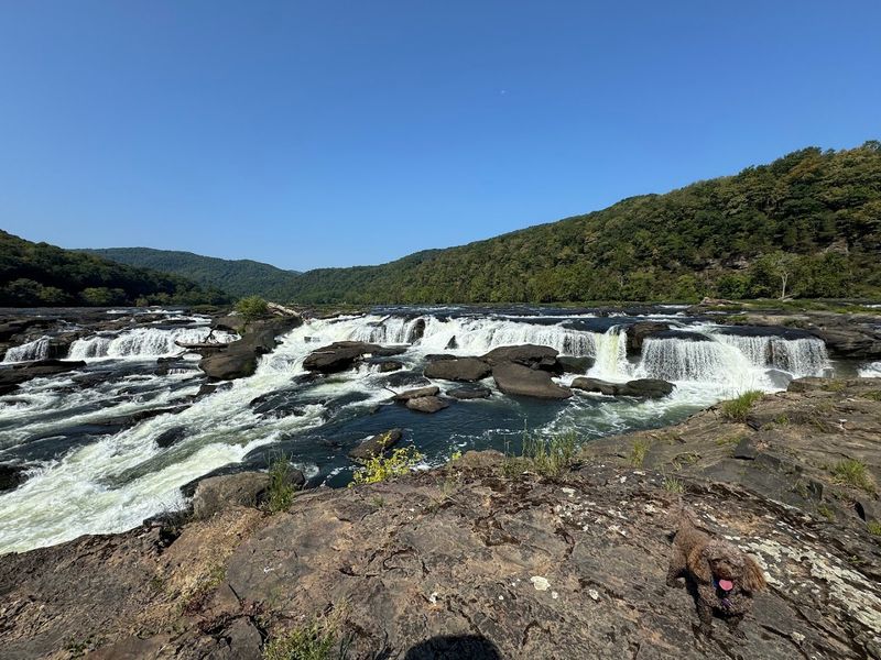 Sandstone Falls Steals the Show