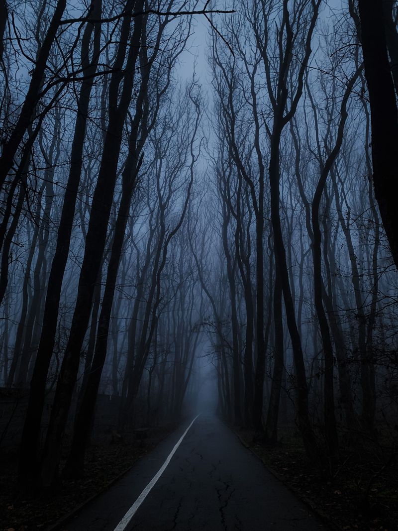 Sauvie Island Road, Sauvie Island