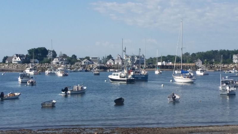 Savoring Local Flavors by the Sea Savoring Local Flavors by the Sea
