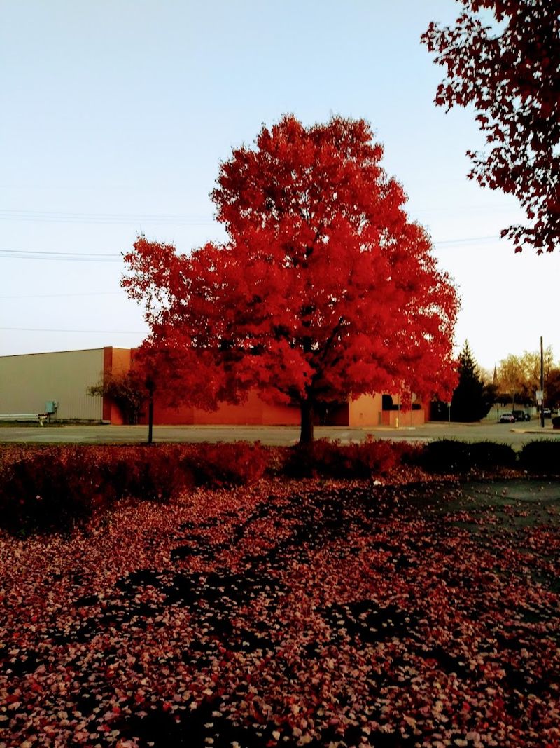 Scenery That Shifts From City Streets to Quiet Rural Stretches