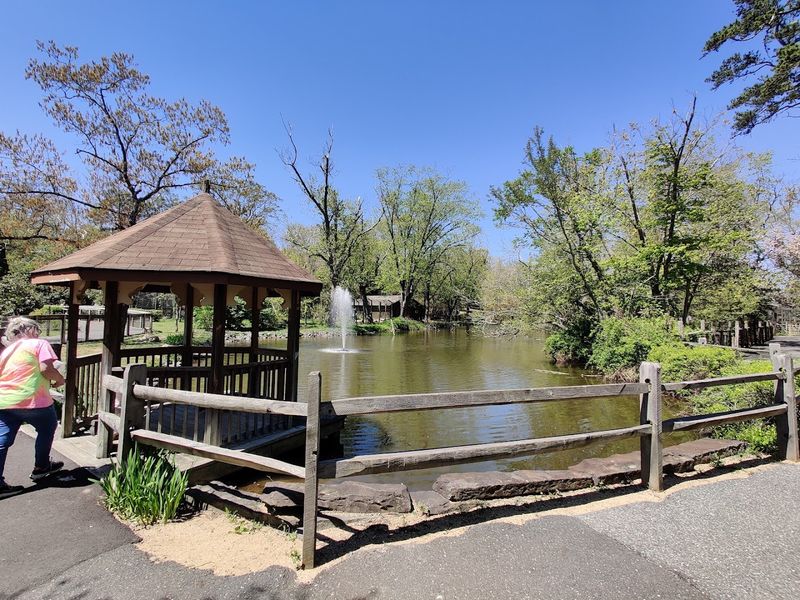 Scenic Walks Along The Cohansey Without Big-City Bills Scenic Walks Along The Cohansey Without Big-City Bills
