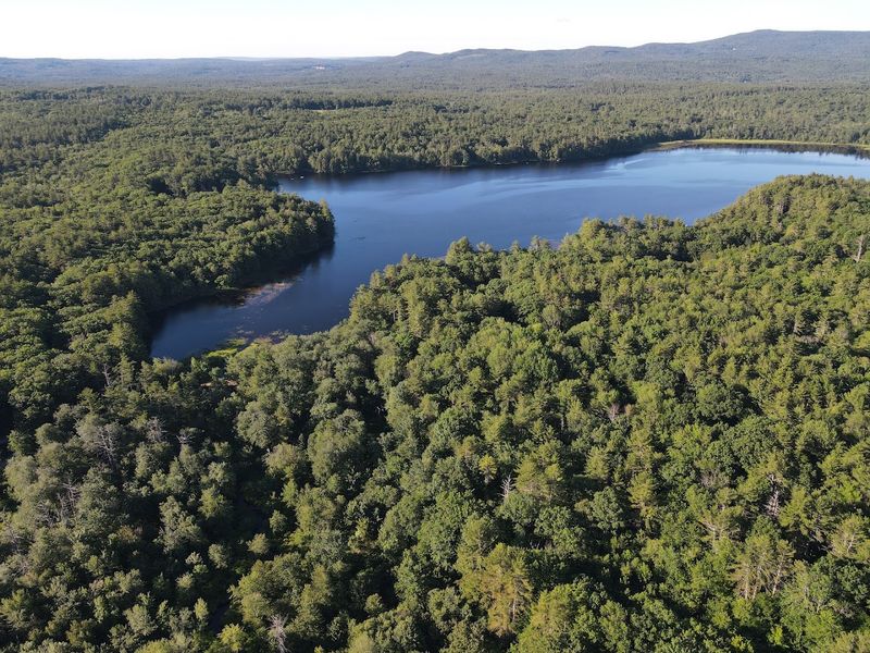 Scobie Pond, the Modern Identity of a Very Old Mystery
