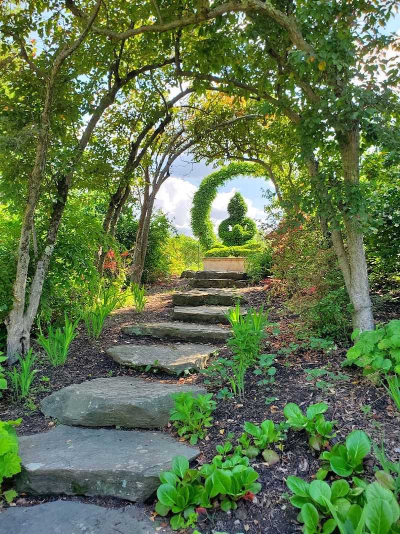 Sculpted Whimsy and the Living Art of Topiary Sculpted Whimsy and the Living Art of Topiary
