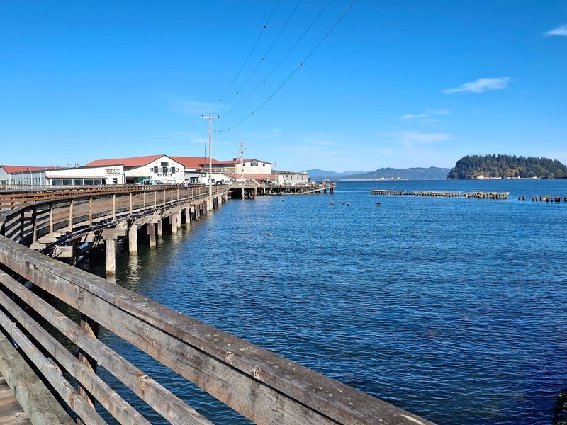 Sea Lions on the Docks