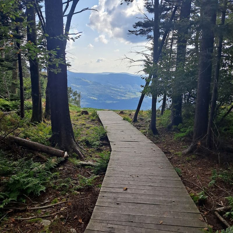 Seasonal Activities Beyond Summer