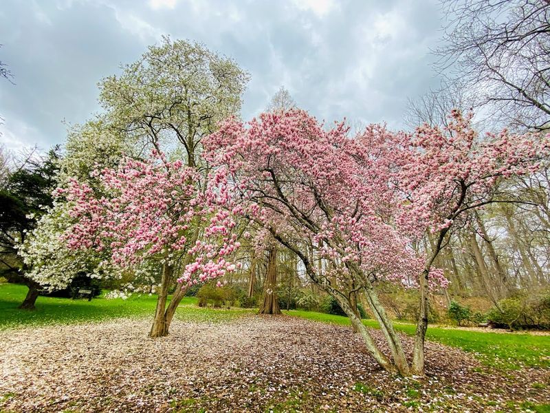 Seasonal Blooms Keep Visitors Coming Back Year-Round Seasonal Blooms Keep Visitors Coming Back Year-Round