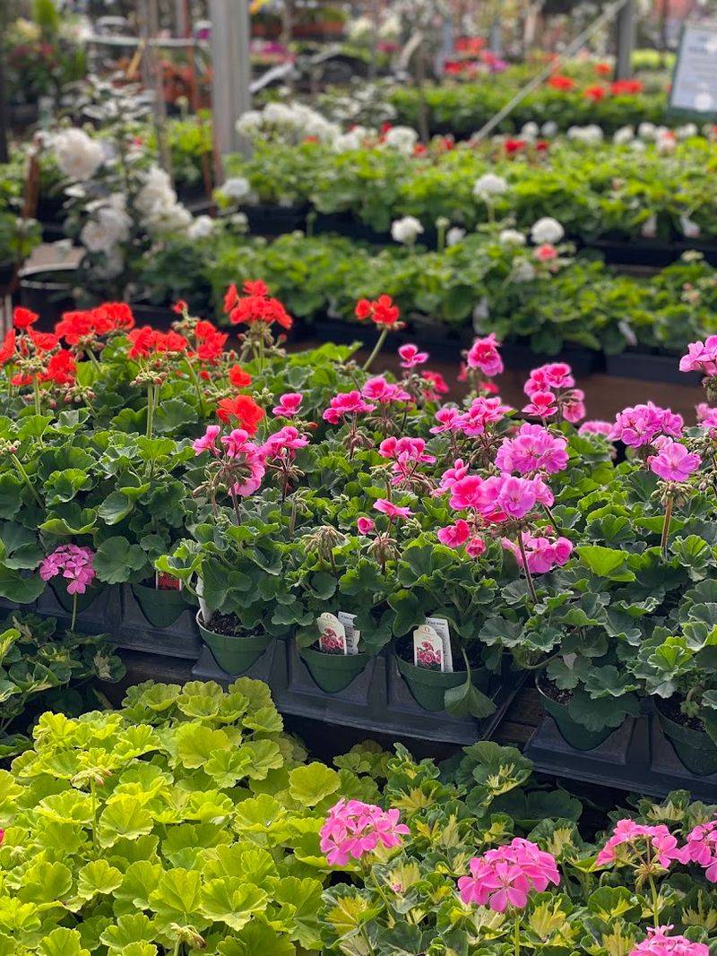 Seasonal Displays That Keep Every Visit Feeling New Seasonal Displays That Keep Every Visit Feeling New