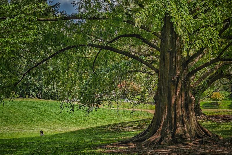 Seasonal Displays and Photography, Why Every Visit Feels Different