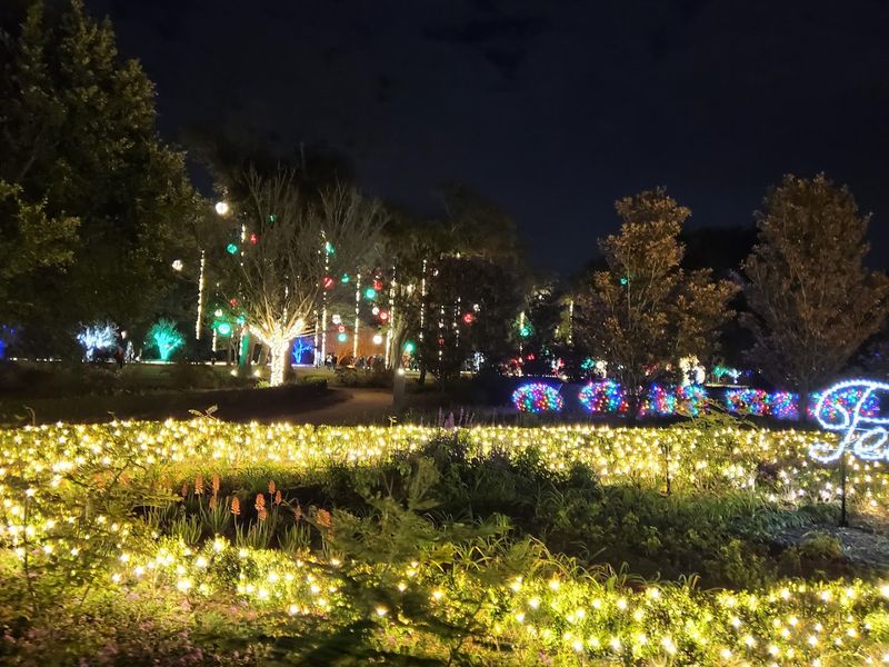 Seasonal Events, Festivals, and Special Exhibitions Seasonal Events, Festivals, and Special Exhibitions