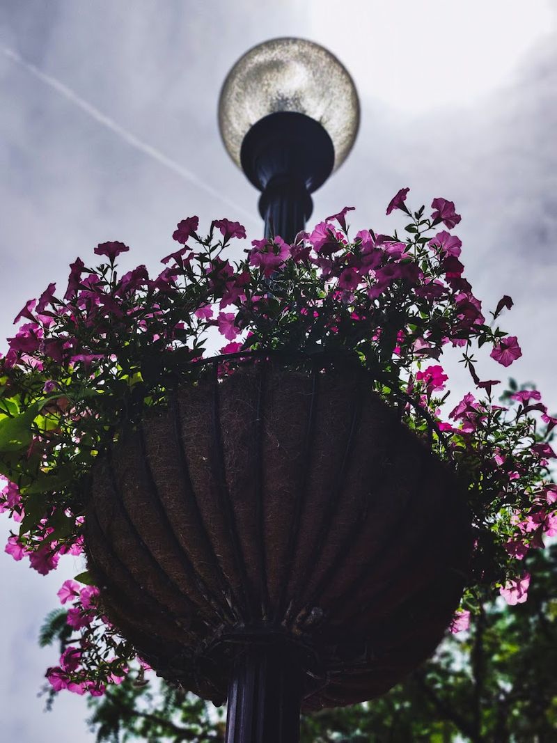 Seasonal Events Make Every Visit Feel Different Seasonal Events Make Every Visit Feel Different