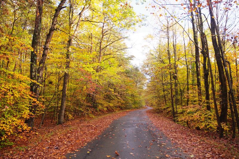 Seasonal Highlights and the Best Times to Visit