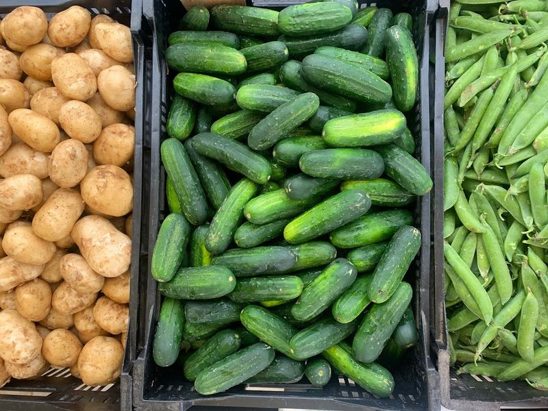 Seasonal Surprises Keep Every Visit Fresh