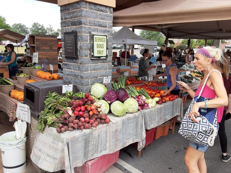 Seasonal Wonders That Keep Every Visit Fresh