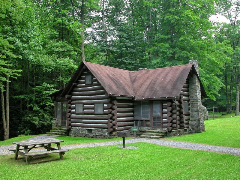 Settling into Pioneer Comforts