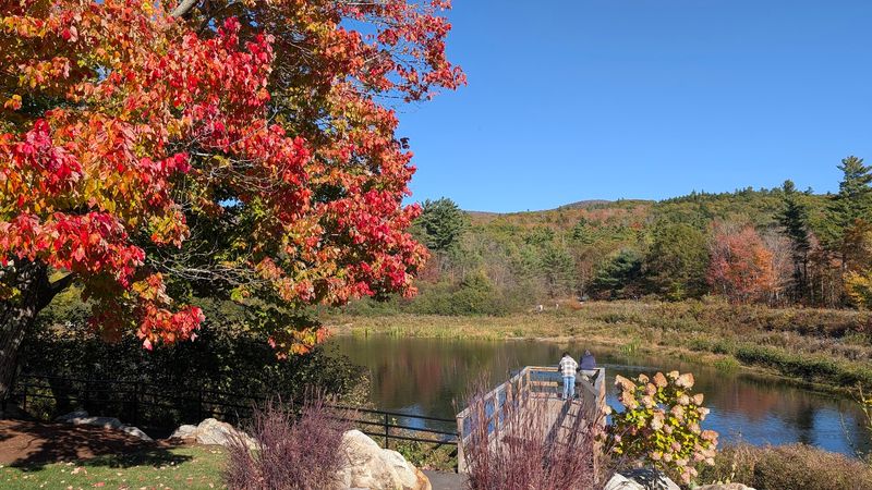 Shannon Pond and the Peaceful Side of the Estate Shannon Pond and the Peaceful Side of the Estate
