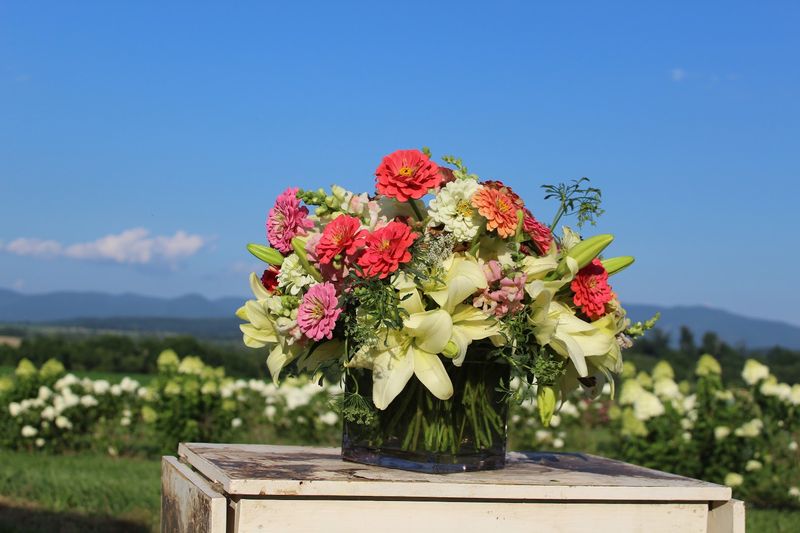 Shenandoah Valley Views That Take Your Breath Away