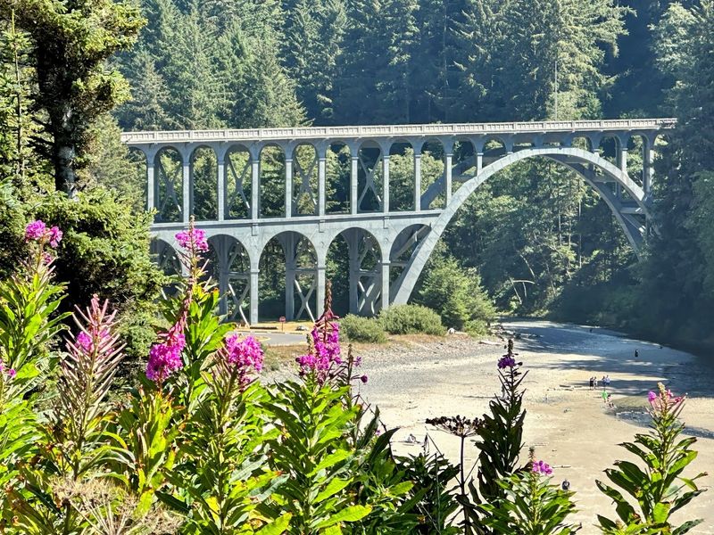 Siuslaw National Forest