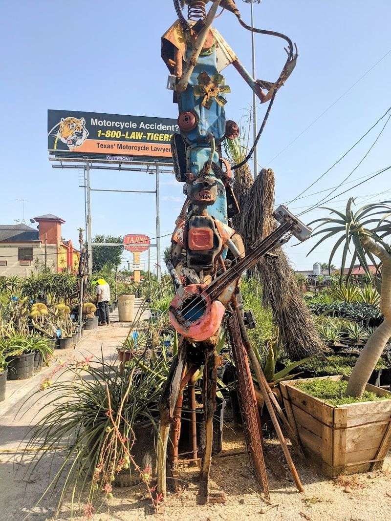 Six Acres of Desert Wonder Right in Houston