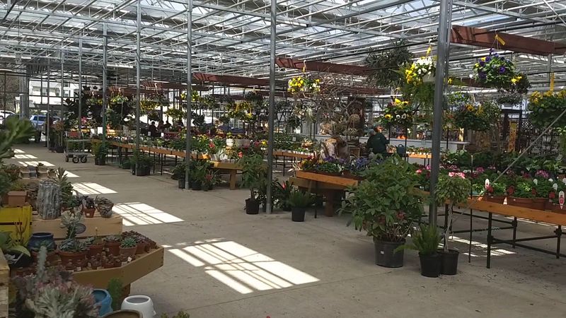 Six Acres of Pure Green Heaven