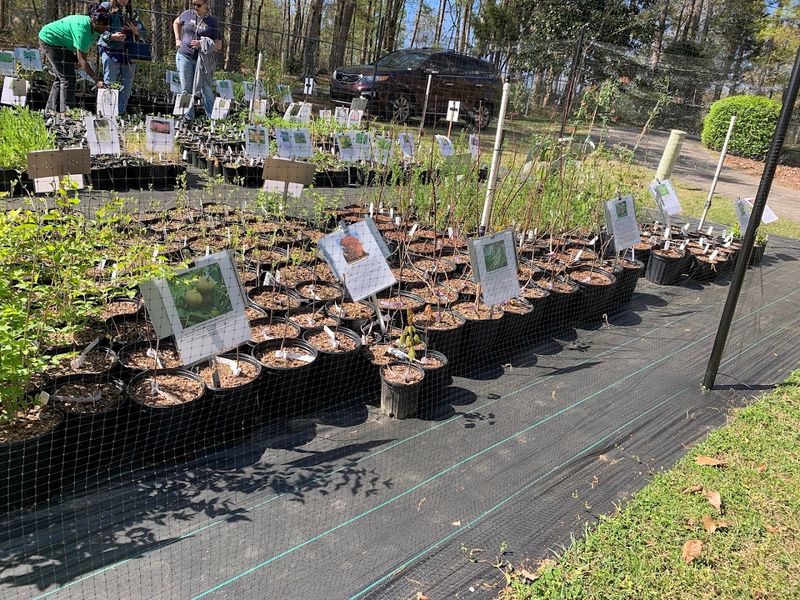 Skip Generic Nurseries and Champion Real Conservation