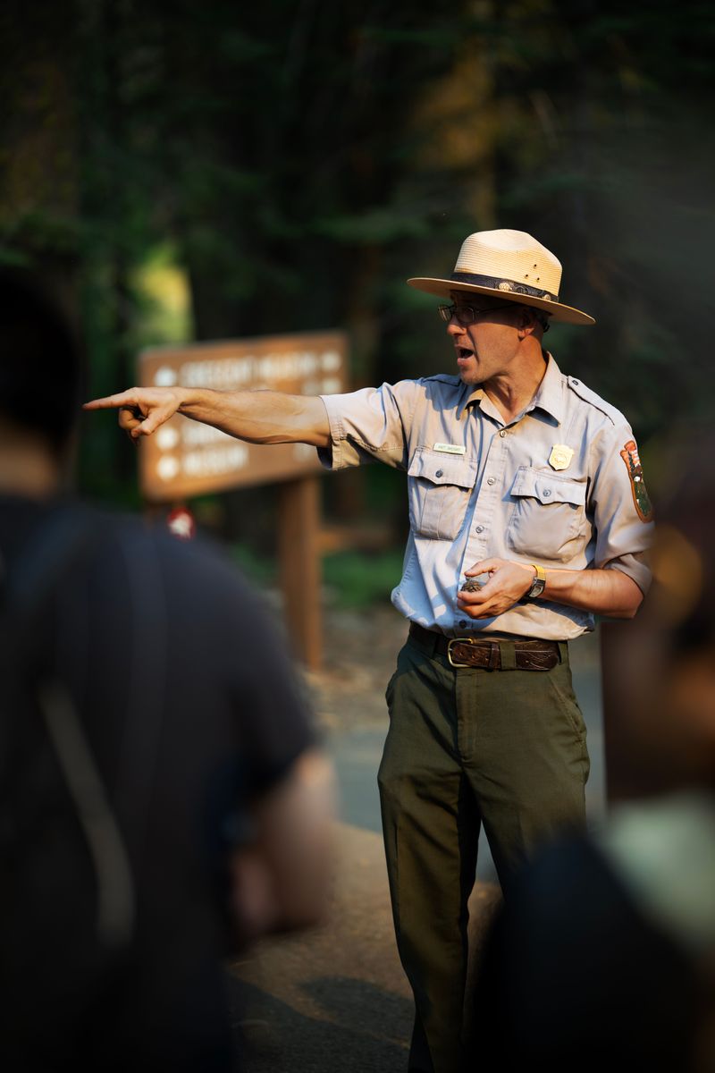Skip Nothing on a Ranger-Led Bog Exploration