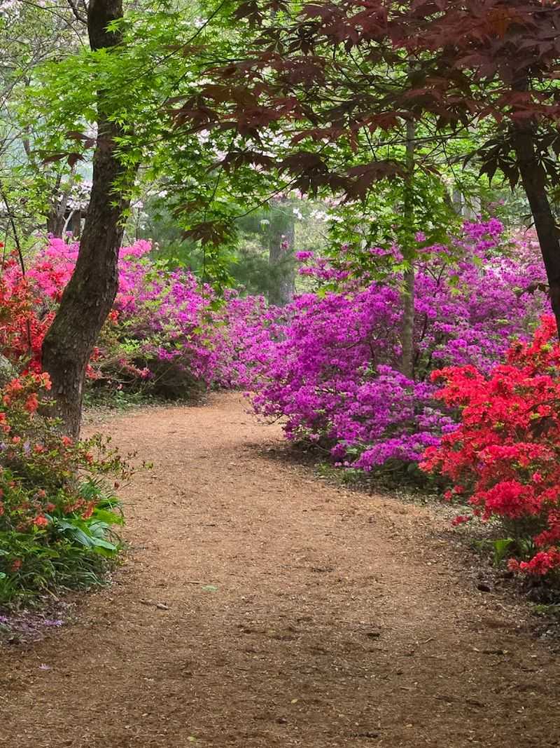 Skip the Crowds by Visiting on a Weekday Morning Skip the Crowds by Visiting on a Weekday Morning