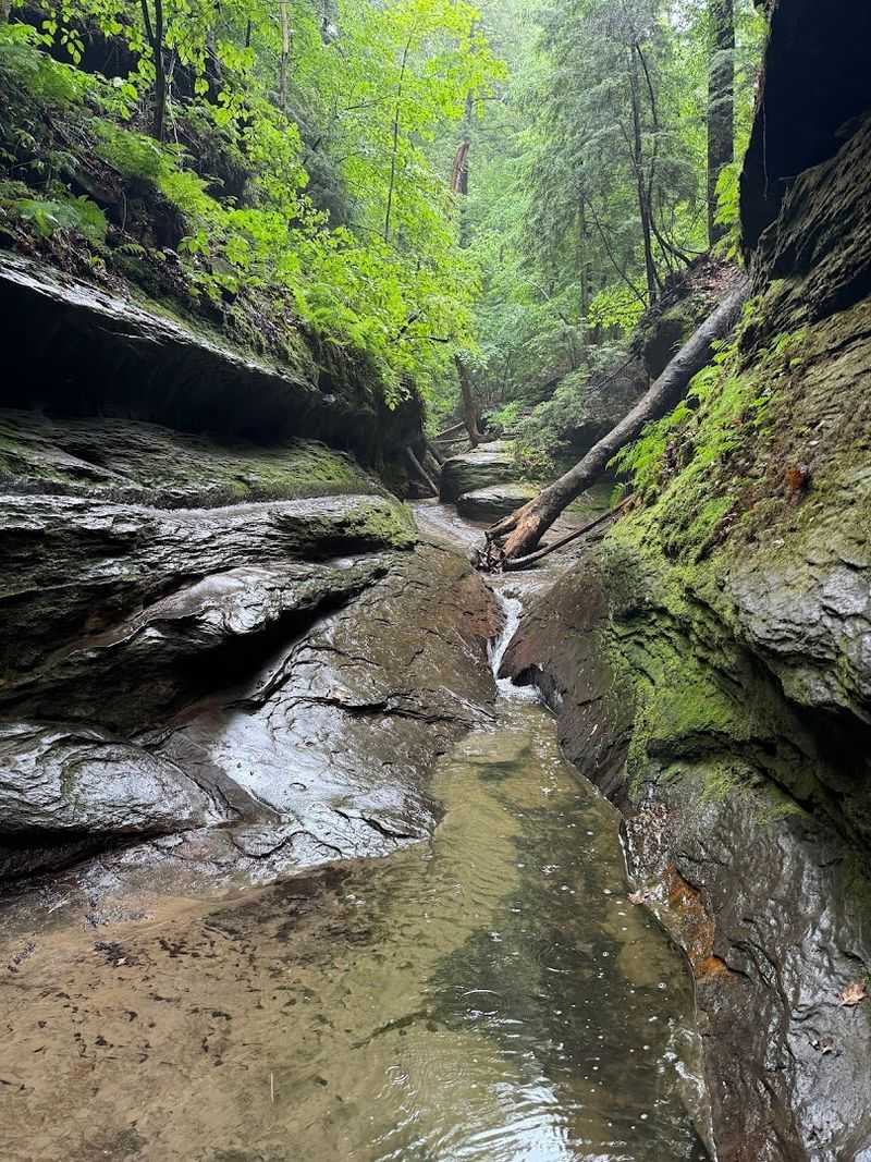 Skip the Ordinary and Walk Through Boulder Canyon Instead