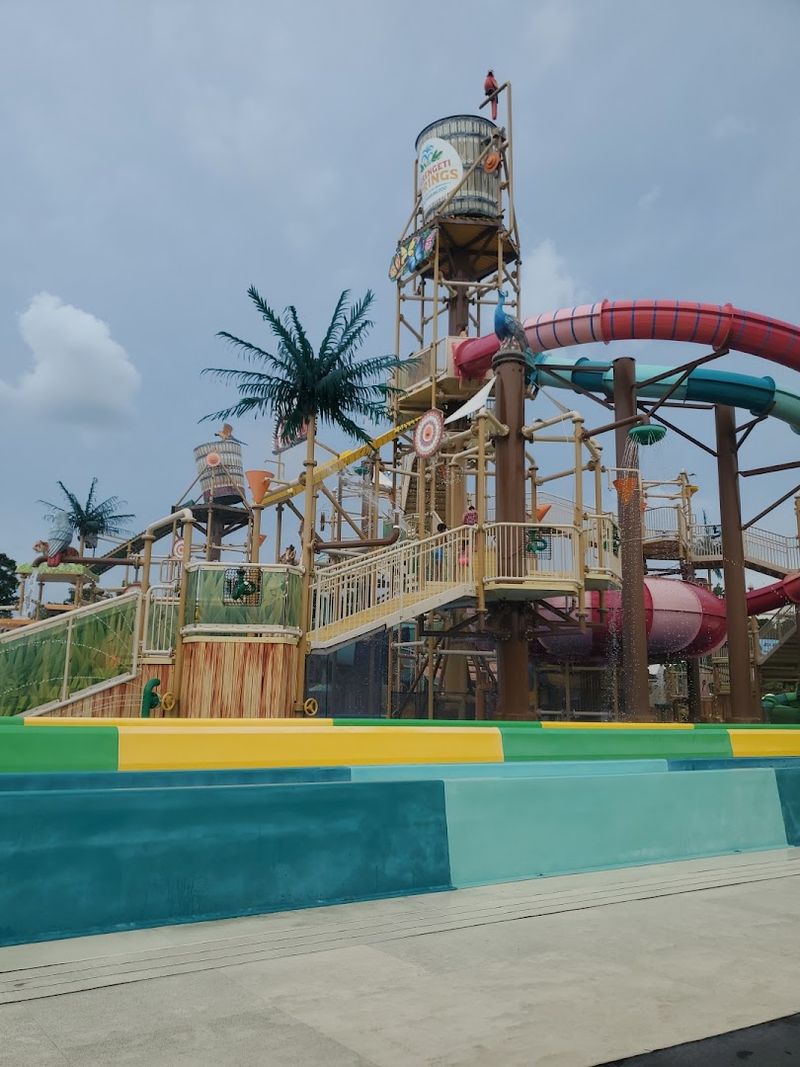 Slides That Deliver Real Thrills at Every Level Slides That Deliver Real Thrills at Every Level