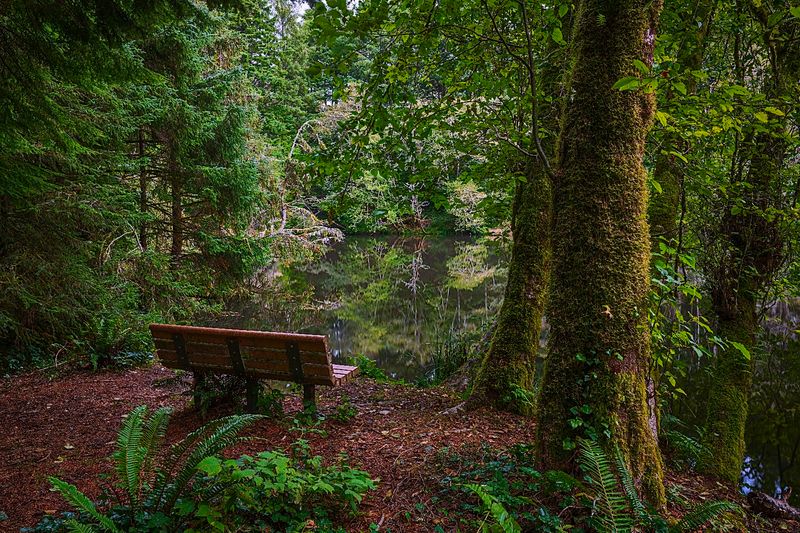 Small Details That Make the Spring Lake Loop Worth Returning To