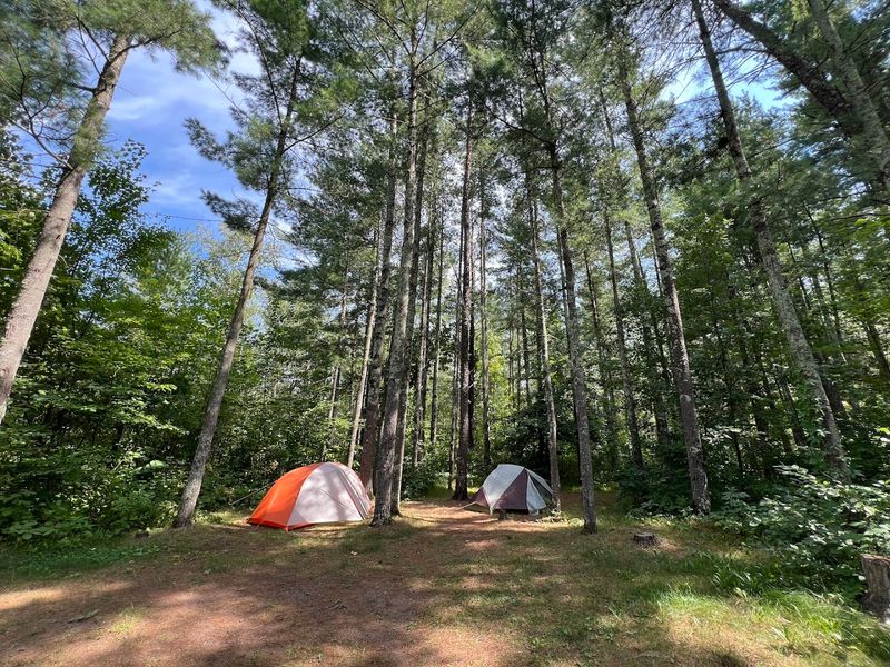Snake River State Forest Campground, Mora Snake River State Forest Campground, Mora
